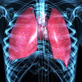 Regenerative Medicine Breakthrough Pushes COPD Treatment Forward, Marks Win For Method